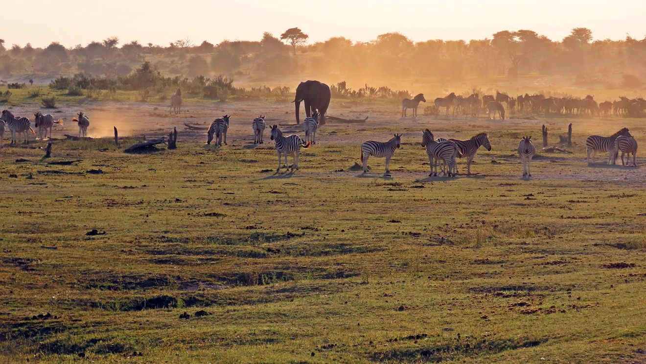 Modelul învățământului profesional dual de la Brașov ar putea fi preluat de Botswana / Ministrul Economiei din statul african: ”Ce am descoperit aici și ni s-a părut foarte interesant pentru țara noastră”