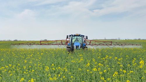 VIDEO Drone pentru câmpuri: Cum ar putea fi ajutați fermierii de tehnologia de ultimă oră pentru a face față secetei