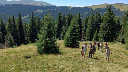 Brazii de Anul Nou pentru oficialii ruși, importați din Polonia "neprietenoasă"