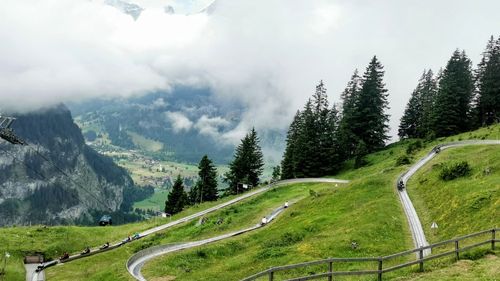 Elveţia va vota asupra iniţiativei dreptei radicale pentru a stăvili imigraţia şi a limita populaţia ţării la 10 milioane / ”De la lipsa de securitate la până la ambuteiaje zilnice, toate problemele noastre sunt legate de imigrația în masă necontrolată”