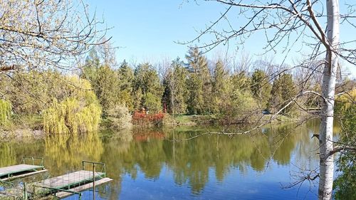 Municipiul Ploieşti a câştigat definitiv, în instanţă, dreptul de proprietate asupra Parcului Bucov, revendicat de o comună vecină / Terenul are 101 hectare  / Procesele au durat aproape cinci ani