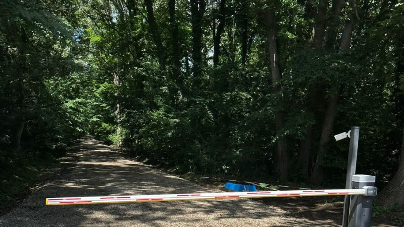 UPDATE Federația Greenfield a anunțat că a câștigat un proces privind accesul la drumul forestier din Pădurea Băneasa / Agent Green susține că procesul nu a fost câștigat, ci mutat de la administrativ la civil / Romsilva a reabilitat drumul cu bani privați pentru tranzitul locuitorilor din complexul imobiliar 