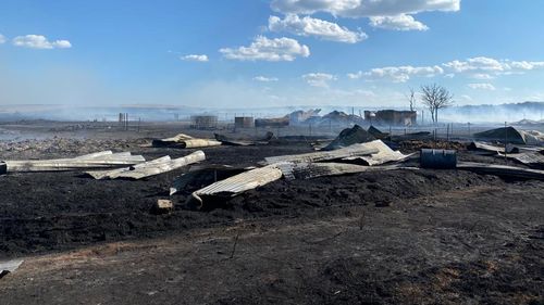 Incendiu de vegetație uscată în Tulcea, izbucnit de la exercițiile din Poligonul Babadag / UPDATE 400 de hectare, afectate