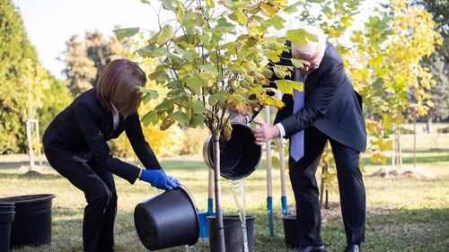 Maia Sandu a plantat copaci și s-a murdărit de noroi pe haine, dar a pozat alături de președintele Germaniei