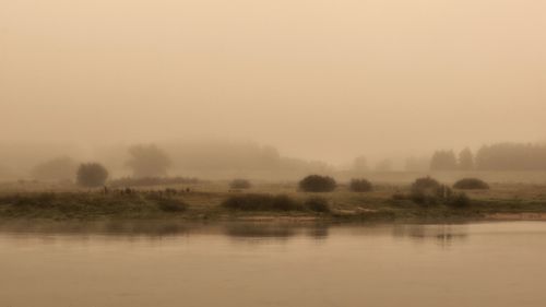 Misiune de salvare pe Dunăre, în Timiș: Un pescar rătăcit în apele fluviului a fost recuperat de polițiștii de frontieră / Bărbatul de 63 de ani a plecat la pescuit deși vizibilitatea era redusă din cauza ceții