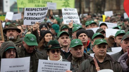 Silvicultorii protestează în Bucureşti  / Se vor alătura şi alte categorii socio – profesionale / Solicitările vizează Legea pensiilor şi Codul silvic