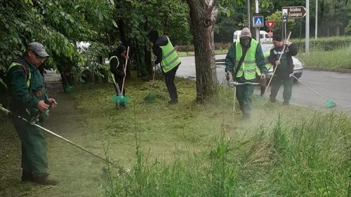 Primarul Capitalei susține că a început cosirea ierbii în parcuri / Gropile din asfalt ar urma să fie reparate în decurs de două luni