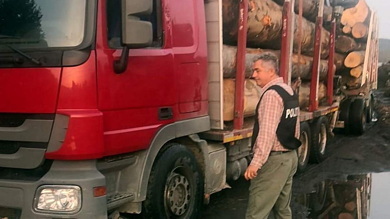 Primarul PSD nou ales al unei comune din Argeș, prins la volanul unui camion cu lemn furat