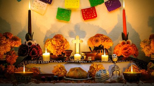 Floarea portocalie care acoperă întreg Mexicul în timpul Zilei Morților, pusă în pericol de schimbările climatice