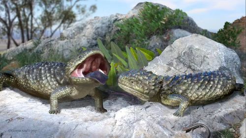 Oamenii de ştiinţă au descoperit fosile ale unei specii de şopârlă care a trăit pe teritoriul Australiei / Reptila era de dimensiunile unui braţ uman şi avea corpul acoperit cu ţepi