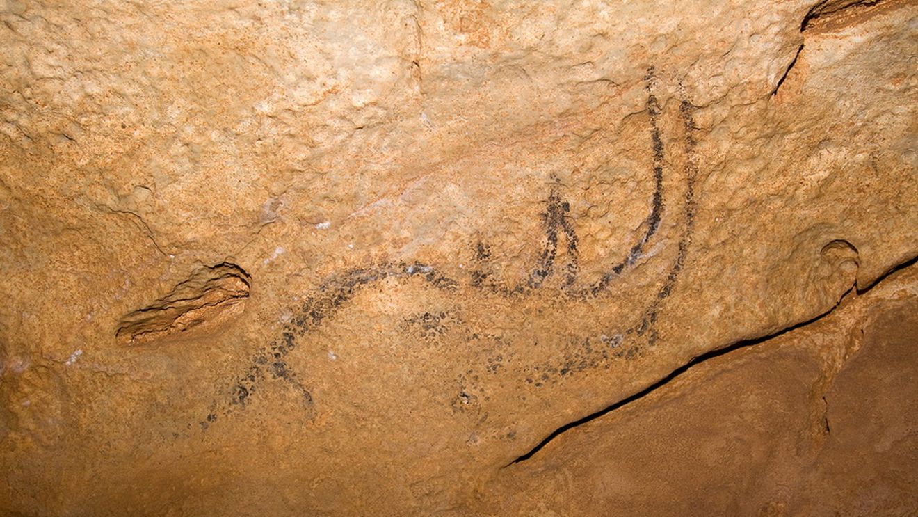 O peșteră din Bihor, nominalizată să devină patrimoniu protejat de UNESCO / În Coliboaia s-au găsit printre cele mai vechi picturi rupestre din Europa