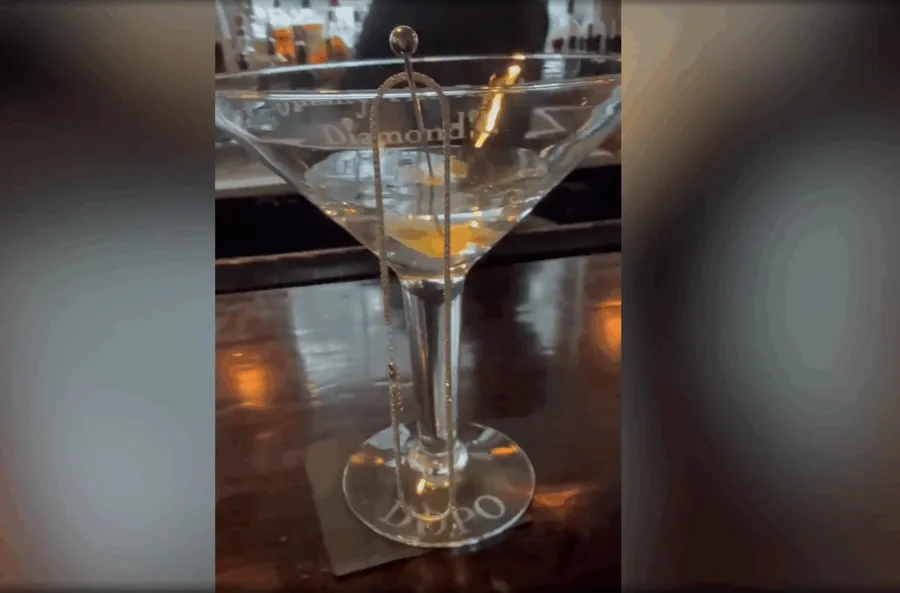 cel mai scump martini