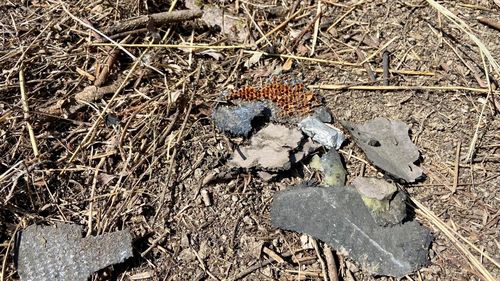 Resturi de dronă găsite și la o fermă din Grindu, județul Tulcea, în apropiere de Dunăre / Administratorul fermei: "Am găsit o groapă și ceva resturi nu foarte mari"