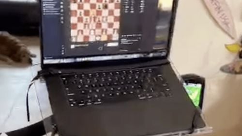 Un bărbat tetraplegic reușește să controleze computerul prin gândire, cu ajutorul unui implant Neuralink