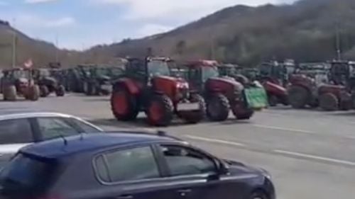 Fermierii francezi și spanioli demonstrează împreună împotriva Europei