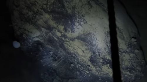 VIDEO "Creaturi stranii'', descoperite de oamenii de ştiinţă sub un strat de gheață de 900 de metri din Antarctica