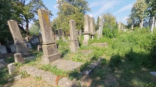 A fost inaugurat primul tur virtual al unui Cimitir Evreiesc din România / Cimitirul din Iași are 20 de hectare și peste 150.000 de morminte