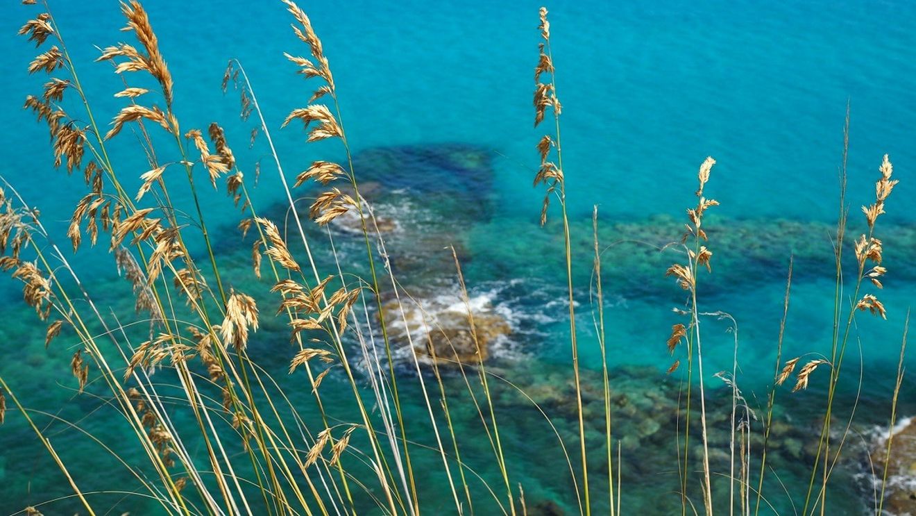 Un canion subacvatic format în urmă cu 6 milioane de ani, descoperit în Marea Mediterană