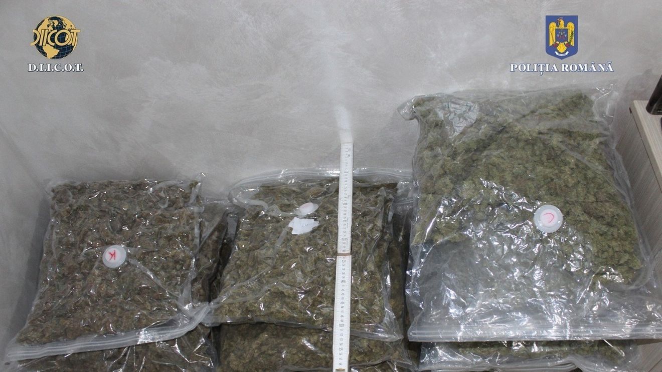 Polițiștii din Vrancea au descoperit 15 kilograme de canabis la o firmă de curierat internațional