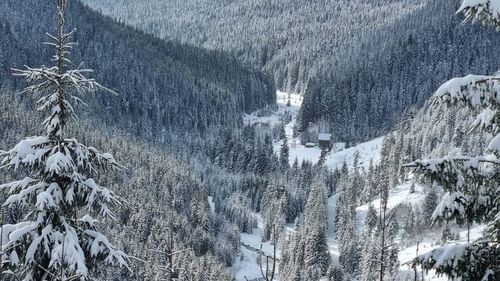 Risc însemnat de producere a avalanşelor în Munţii Rodnei / Până luni seară, vremea va fi rece, geroasă la altitudini mari în întreaga zonă montană
