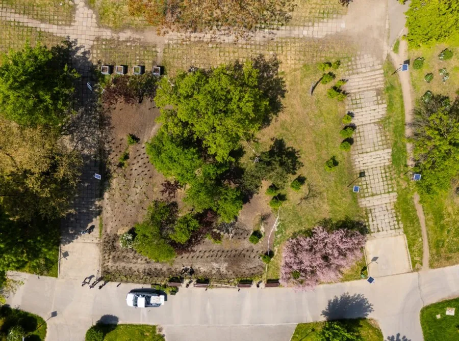 Parcul Tineretului, gradina de ploaie