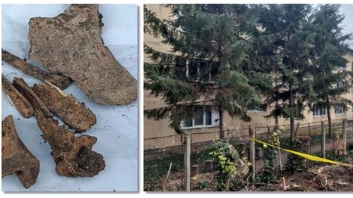 Oase găsite la Timișoara, în timpul unor lucrări de excavare la marginea Parcului Botanic / E posibil să fi aparținut unui copil / Arheologii au început cercetările, iar Poliţia a deschis dosar penal