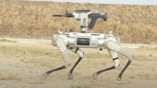China prezintă un câine-robot cu o pușcă automată montată pe spate