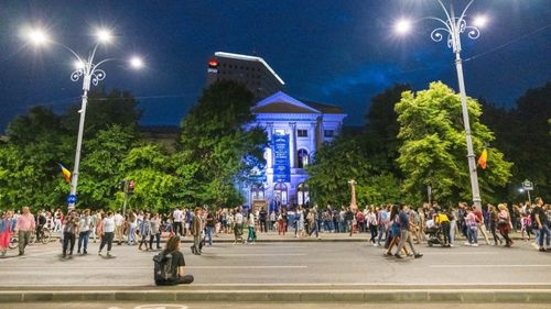 Expoziţiile temporare simultane de la Art Safari şi Muzeul Antipa sunt prelungite până pe 17 iulie