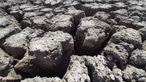 Senatorul Mihai Goțiu cere Ministerului Mediului să trimită Corpul de control pentru a verifica cum a fost posibil ca un lac de 851 de hectare să sece în totalitate, în județul Constanța