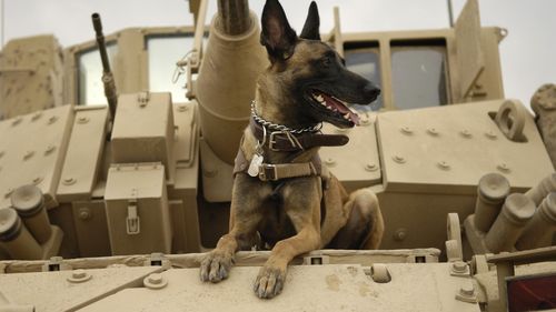 SUA anunță un nou pachet de asistență militară pentru Ucraina în valoare de 2,85 miliarde de dolari