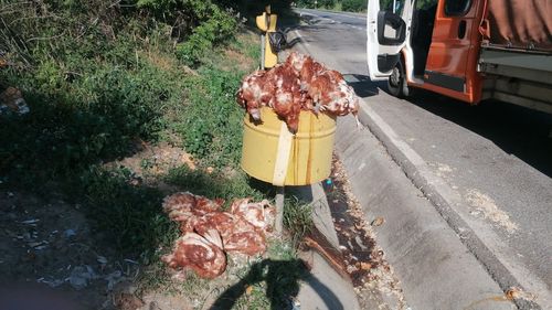 Sute de găini moarte, aruncate în mai multe parcări pe DN14, în județul Sibiu / ”O să ne uităm pe camere să vedem cine le-a aruncat”