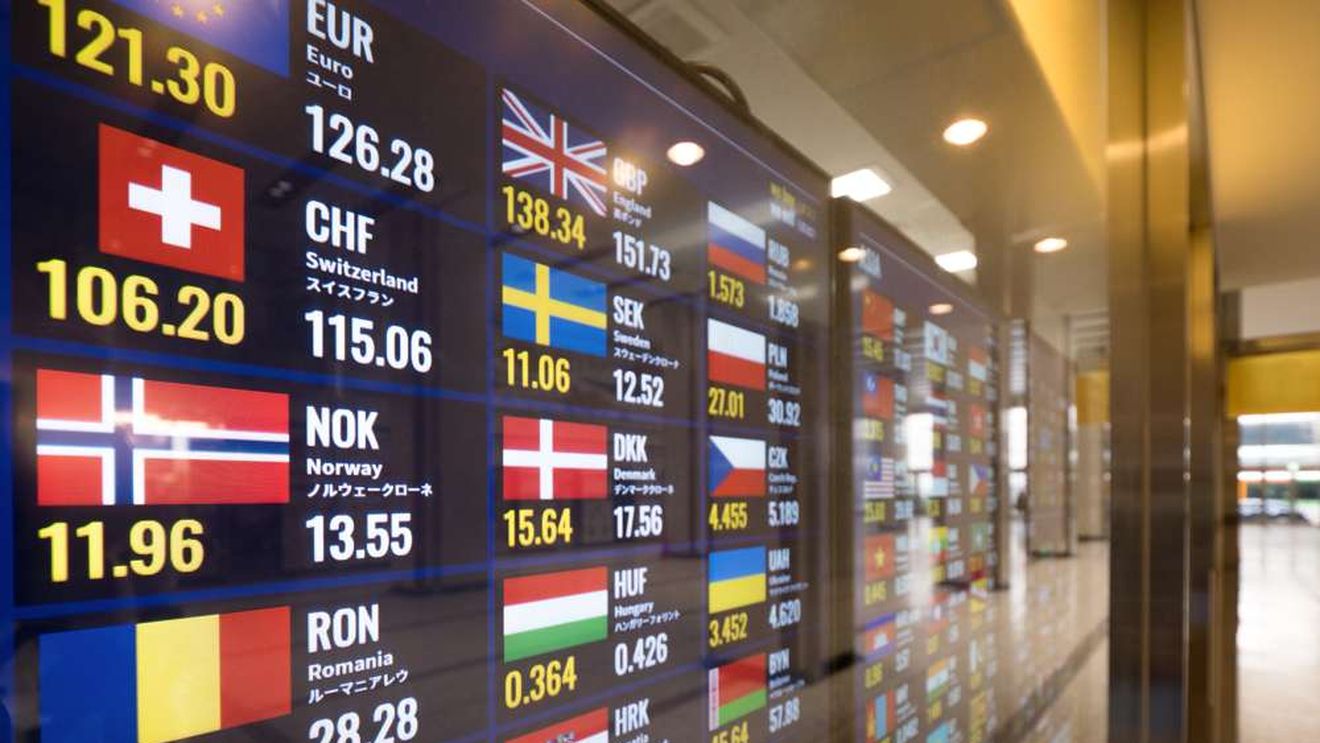 Guvernul a adoptat un act normativ prin care băncile, casele de schimb și operatorii de plăți trebuie să afişeze clar comisioanele percepute pentru conversia în și din euro