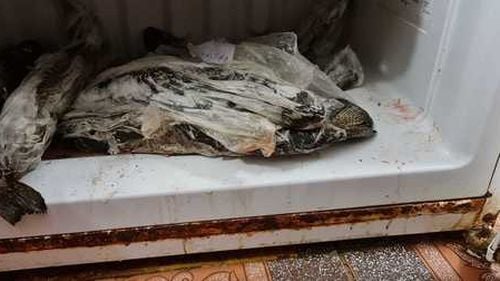 Un restaurant din Galați a fost închis temporar de Protecția Consumatorilor și amendat cu 30.000 de lei după ce inspectorii au găsit excremente și produse expirate