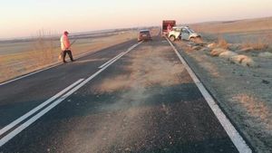 18 oi moarte, după ce au fost lovite de o maşină, în Timiș / Ciobanul a fost amendat cu 290 de lei