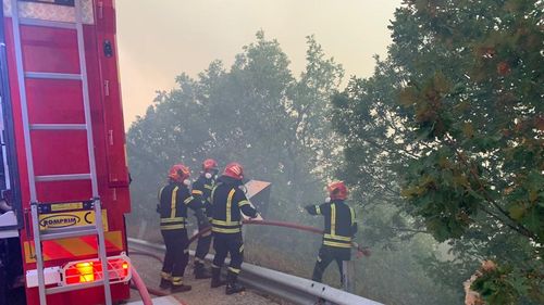 VIDEO Incendiu de vegetaţie în localitatea grecească Neos Voutzas / Pompierii români se deplasează la intervenţie