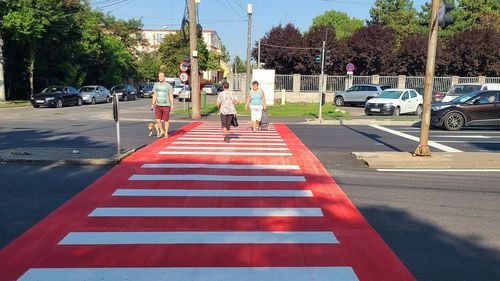 Lucrările de foraje, excavări pentru studii geotehnice, reparațiile la infrastructură și lucrările de supraînălțare a trecerilor pentru pietoni pot fi executate fără autorizație de construire, în urma unui proiect votat de Camera Deputaților