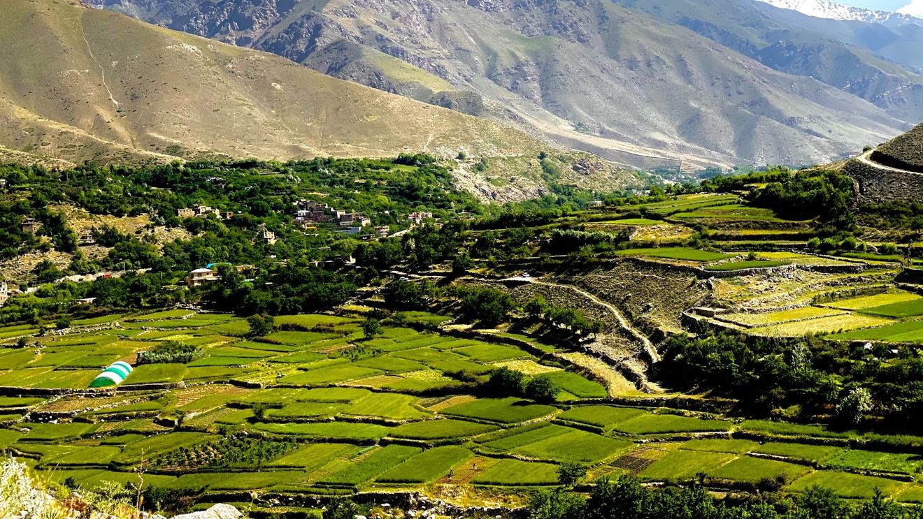 Un avion rusesc s-a prăbuşit în nord-estul Afganistanului / Autorităţile de la Moscova anunţă dispariţia de pe radar a unei curse-charter