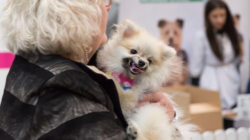 Ce poți face în acest weekend în București / Lista evenimentelor