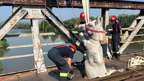 Operațiune de salvare a unui cal blocat pe un pod de cale ferată