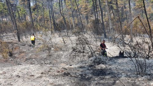 Insula Thassos oferă vacanțe gratuite pentru pompierii români care ajută la stingerea incendiilor