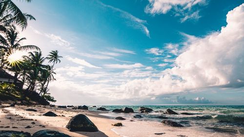 Pe urmele lui Darwin: În Galapagos, oamenii de ştiinţă recreează expediţia istorică din 1835