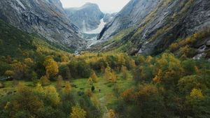 Filmul Songs of Earth produs de marele regizor Wim Wenders deschide a doua ediție a Festivalului Lynx de la Brașov