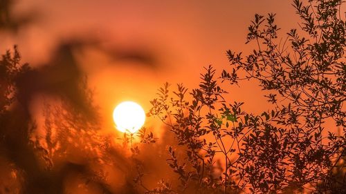 Organizaţia Meteorologică Mondială: Ultimul deceniu, cel mai călduros înregistrat vreodată