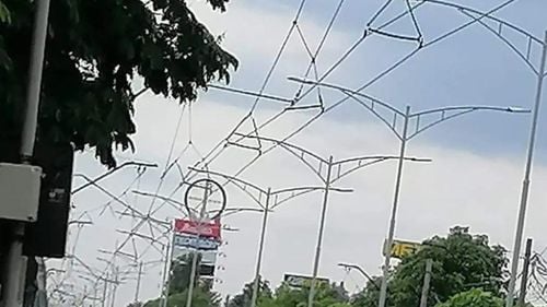 Mai mulţi copaci au fost doborâţi de vântul puternic în mai multe zone din Capitală, duminică seara