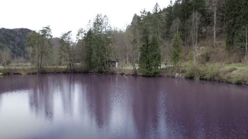 "Nu am mai văzut așa ceva": un lac din Germania a devenit violet
