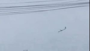 BREAKING Un avion de pasageri cu 61 de persoane la bord s-a prăbușit în statul brazilian Sao Paulo / Nu există niciun supraviețuitor
