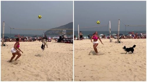 VIDEO Un câine din Brazilia a devenit o vedetă a voleiului de picior / Floki este viral pe rețelele de socializare, unde este urmărit de mii de fani