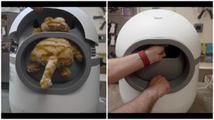 Avertisment: O litieră automată pentru pisici generică, vândută sub mai multe branduri, ar putea ucide felinele