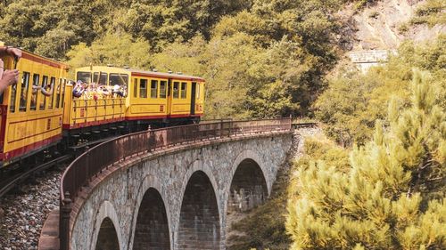 Europa cu trenul: 35.000 de tineri pot obține permise gratuite de călătorie pentru a vizita Europa