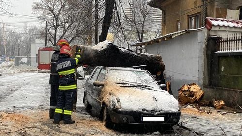 Bilanțul ninsorii din București: 9 mașini distruse, 15 copaci și un stâlp de electricitate prăbușiți